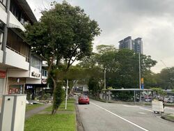 Cheong Chin Nam Road (D21), Semi-Detached #458061431